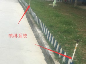 現(xiàn)場施工展示