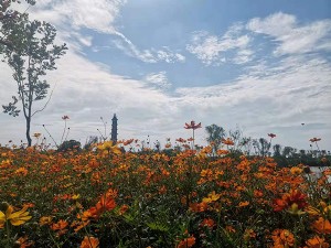 玉帶河濕地景觀(guān)項(xiàng)目