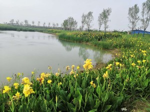 梁園高速路口景觀(guān)項(xiàng)目
